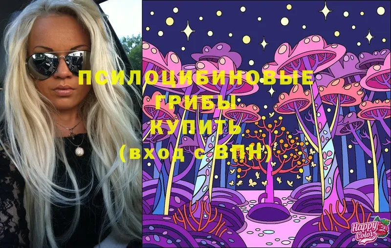 Псилоцибиновые грибы MAGIC MUSHROOMS  площадка как зайти  Лебедянь  наркошоп 